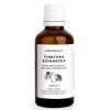 Echinacea