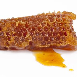 Wie erkennt man hochwertigen Honig?