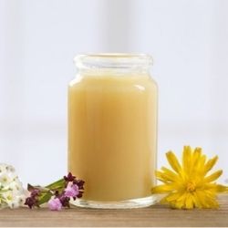 Mutterbrei – Elixier der Fruchtbarkeit der Bienenkönigin