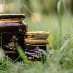 Bienen in der Stadt: Wie die städtische Umgebung Bienen beeinflusst und umgekehrt