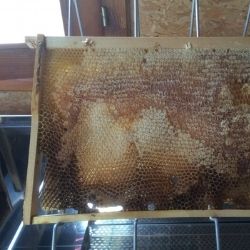 Verarbeitung der Produkte