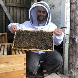 Stadtbienen in Sydney
