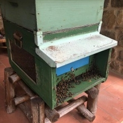 Wie Imker in der Toskana (Italien)