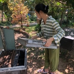 Včelárenie vo Vietname na ostrove Phu Quoc /2./