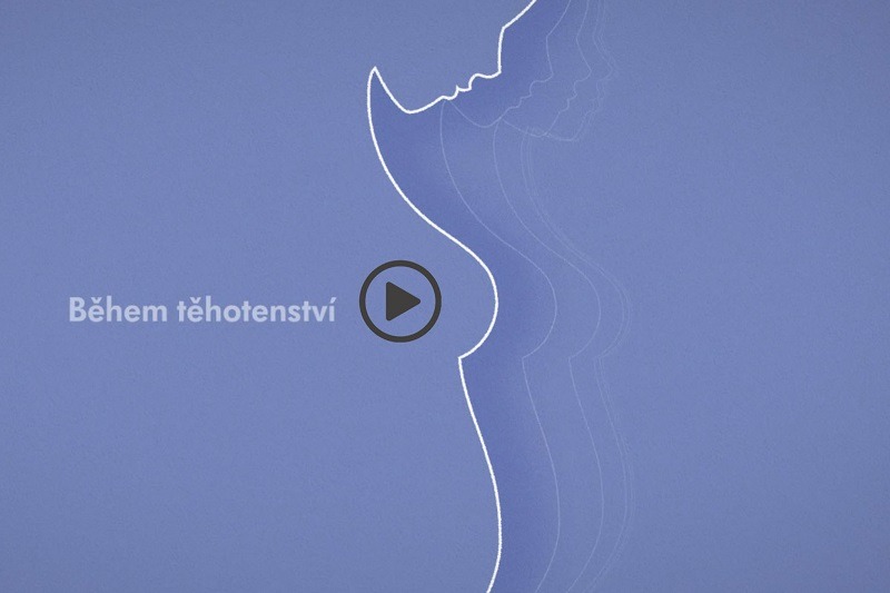 1. díl: Těhotenství - začátek cesty mateřského mléka