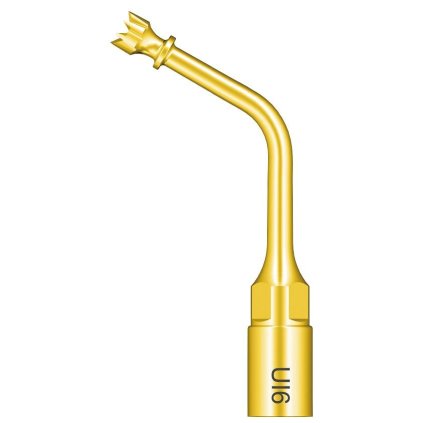 6ea097b7 7d9b 4578 a9e6 d342f3bb2040