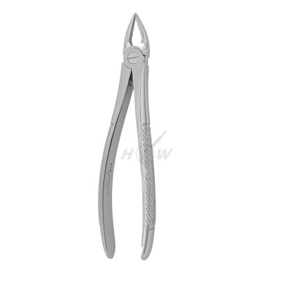 6e2380b8 3b9b 4c08 a3dd 69f93f065af3