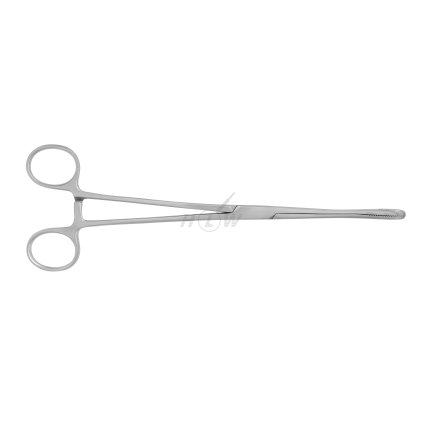 bfff266e 1d02 4c73 b739 860d65d94e50