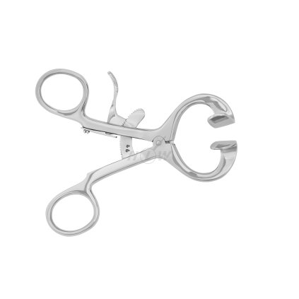 606233e4 7bfd 4a1d 916e 83c9e4d5419f