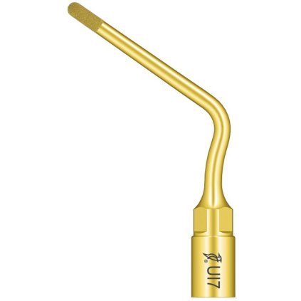 42e08777 6d05 495d 9b81 6ee93f286196