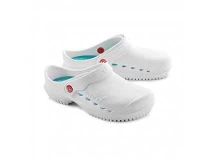 1965 0129 0131bila modra