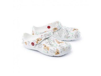 2419 0029 Koala heureka