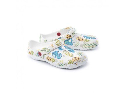 2437 0029 Tropical heureka