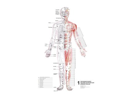 Topografie aku bodů 1,2,3 - plakát