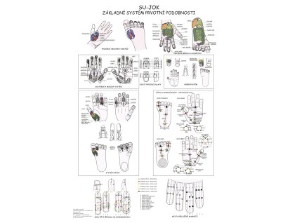 Su-jok systém prvotní podobnosti - plakát