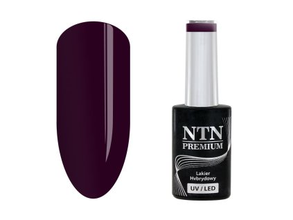 NTN Premium hybridní lak Splash Collection 5g č. 118