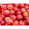 redgrapes