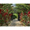 secret garden