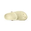 3173 0028 pastis 2 preview