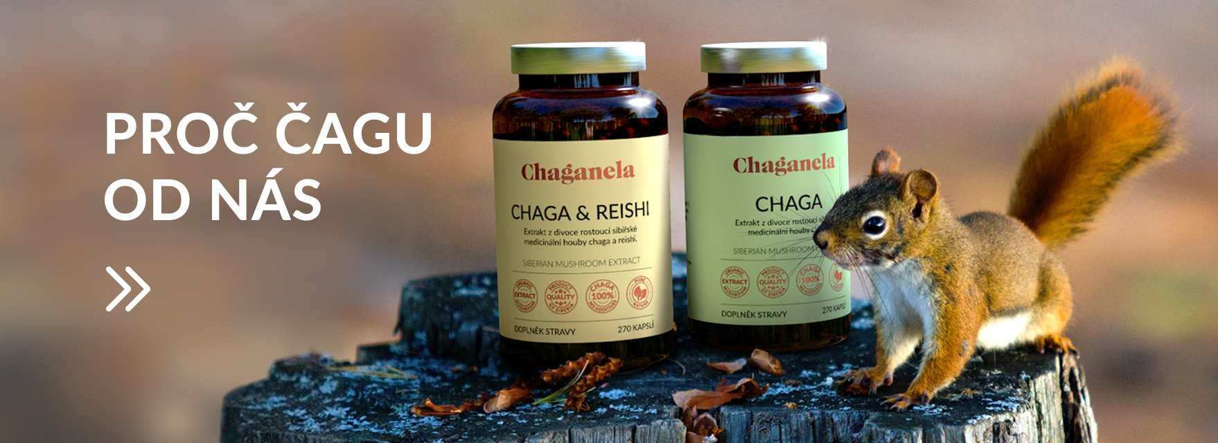 Proč čagu od nás