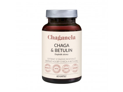 chaga betulin 60 (002)