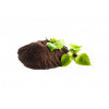 chaga background 1
