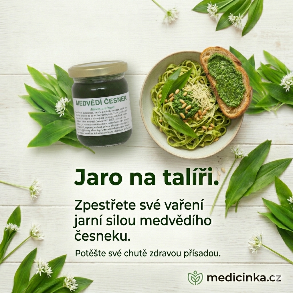 Medvědí česnek pesto 100g Dr. Bojda