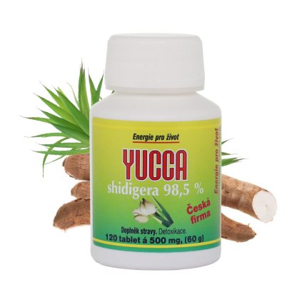 yucca