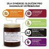 CURCUMIN 95% s liposomálním Glutathionem 180g  pro játra, imunitu, při chronickém oslabení