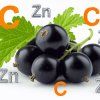 Vitamín C zinek suroviny