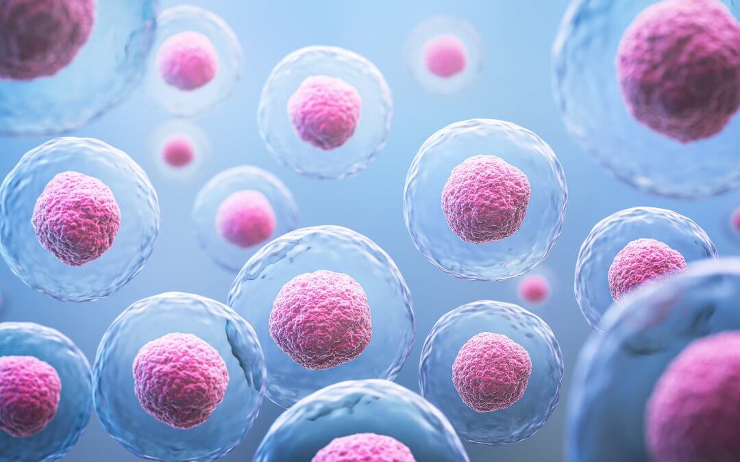 stem_cells-1080x675