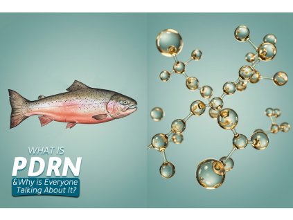 WhatsApp Image 2025 08 20 at 14.48.59 292e030b