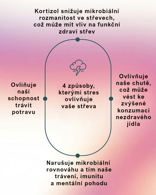 Jak stres ovlivňuje vaše střeva