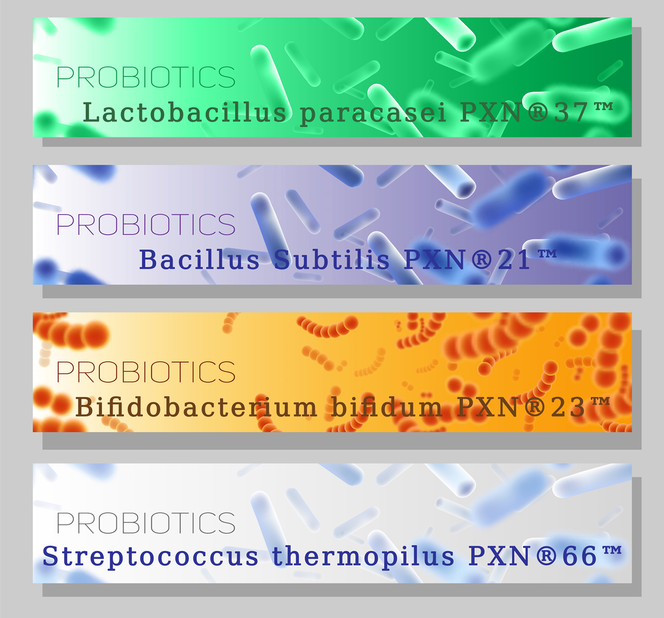 Jak rozpoznávat účinné probiotické kmeny?