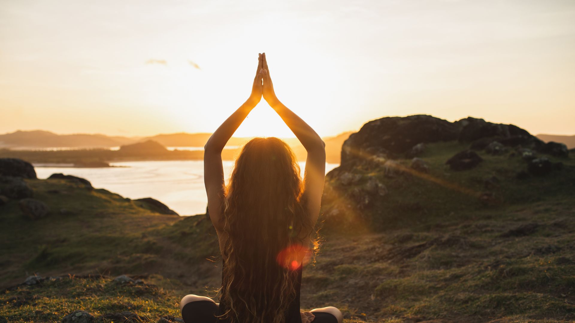 Adaptogeny: Přírodní pomocníci pro zvládání stresu a podporu imunity