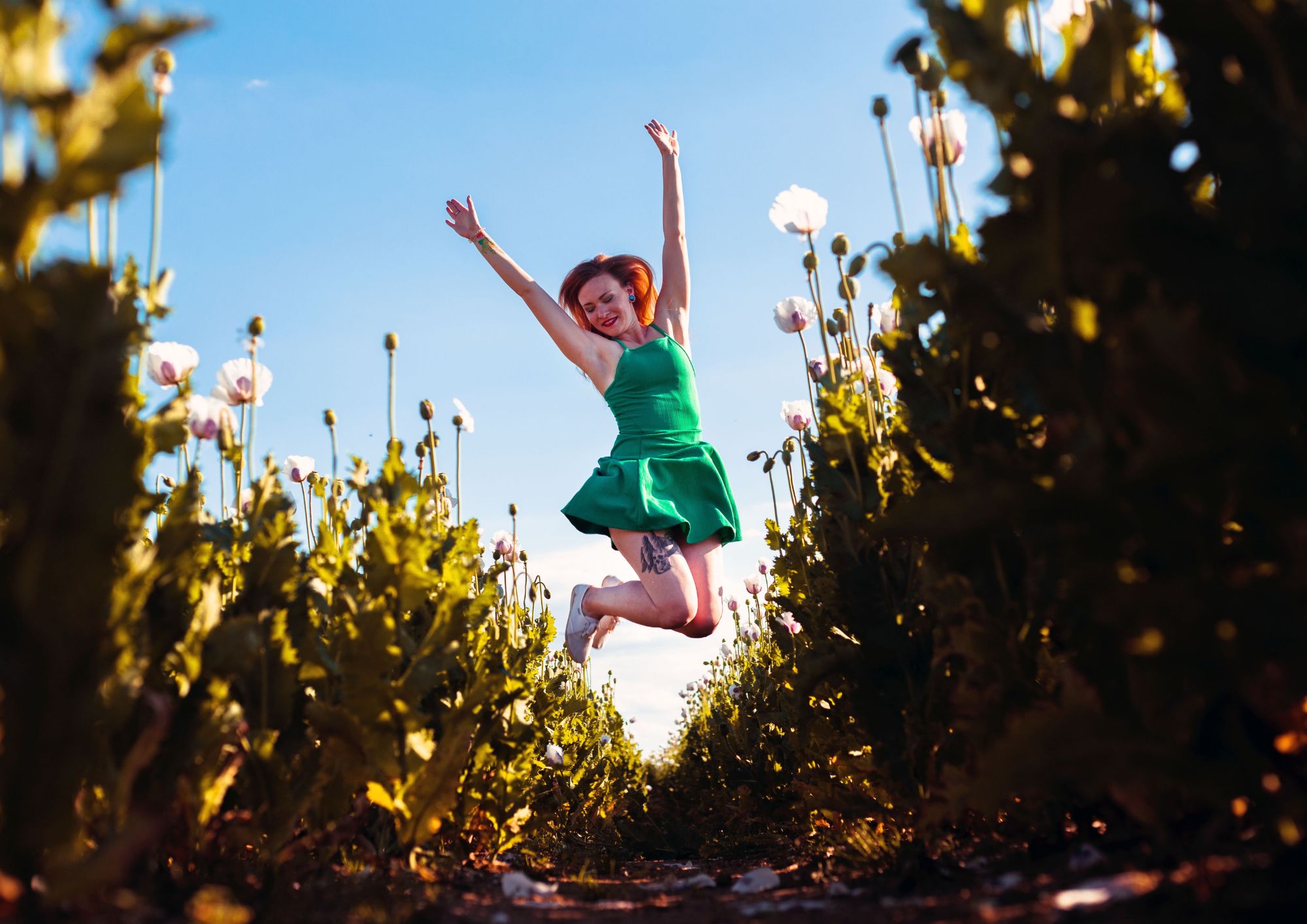 Každý chce dlouho žít, ale nikdo nechce být nemocný.