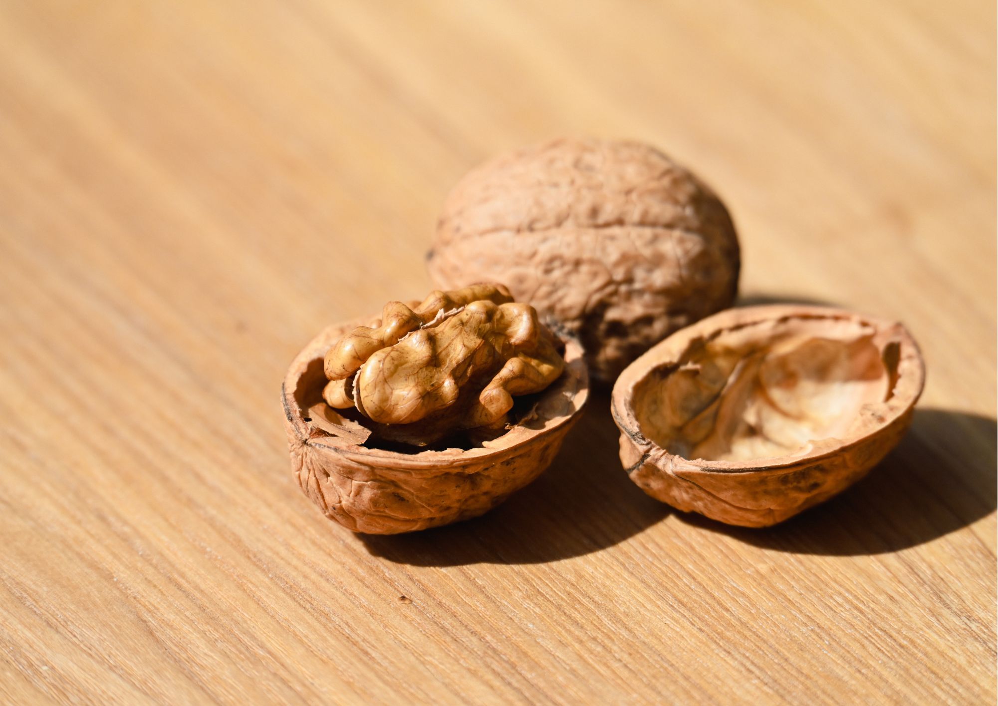 Vitamín E z ořechů: Pokožka a imunita