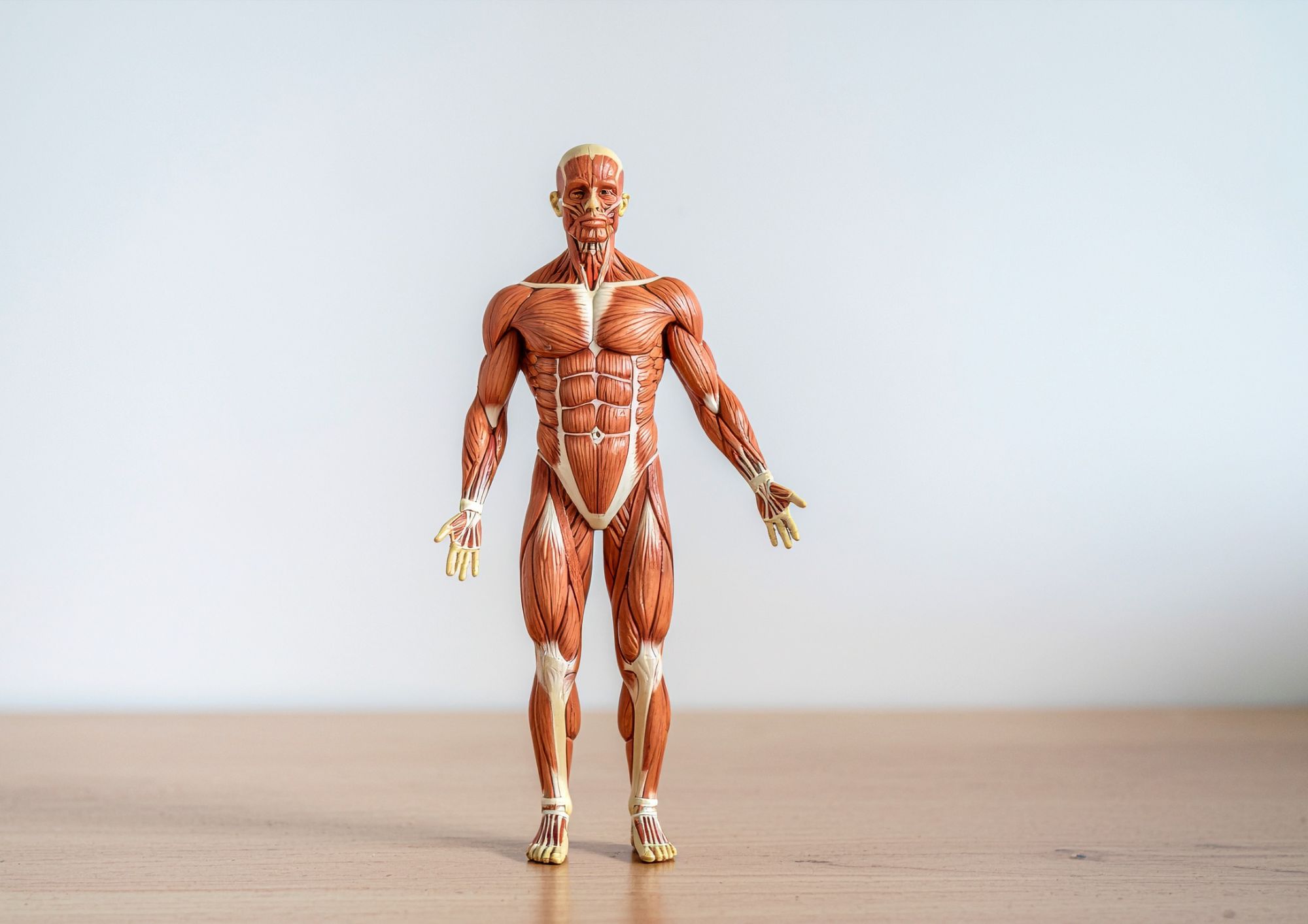 Regenerace po silovém tréninku