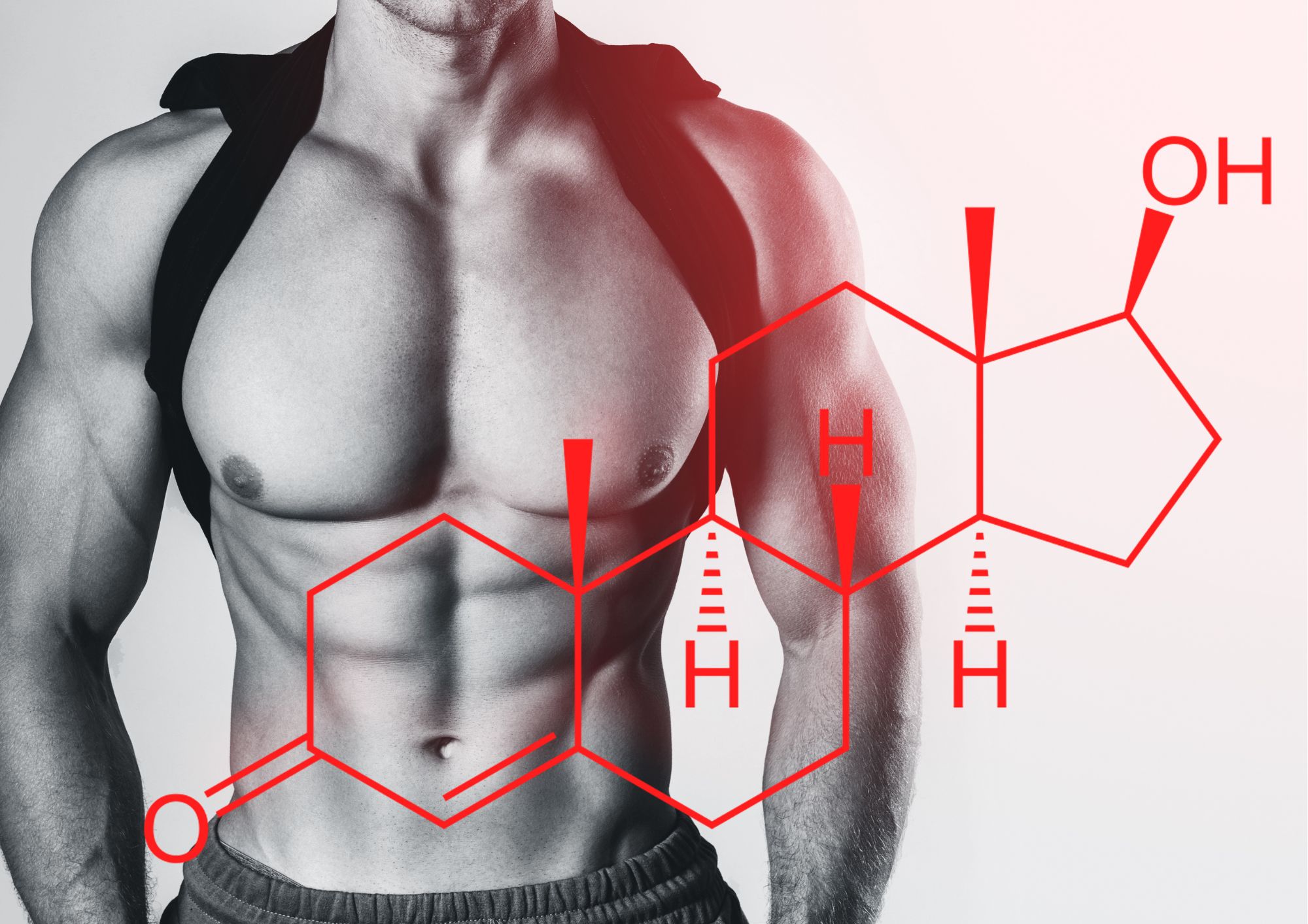 Kyselina D-asparagová (DAA) – booster testosteronu v přírodě