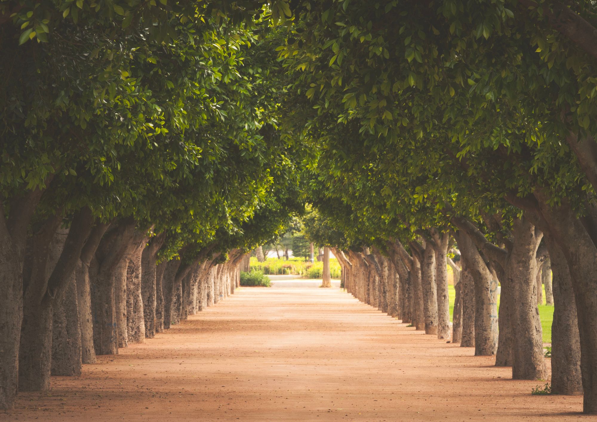 Stres a jeho dopad na tělo: Praktické techniky uvolnění napětí
