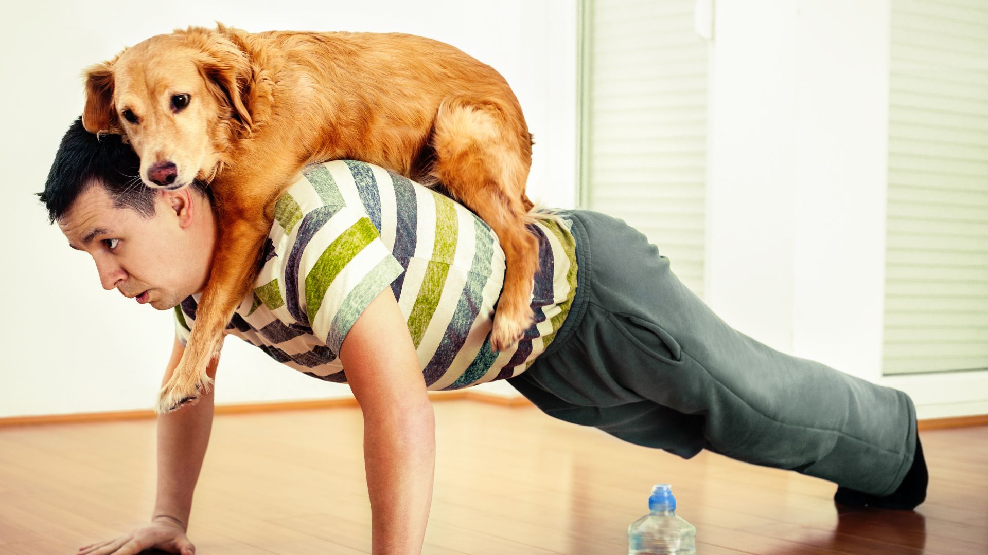 Jak překonat stagnaci ve cvičení a posunout se dál