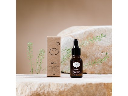 93 1 spokojene brisko