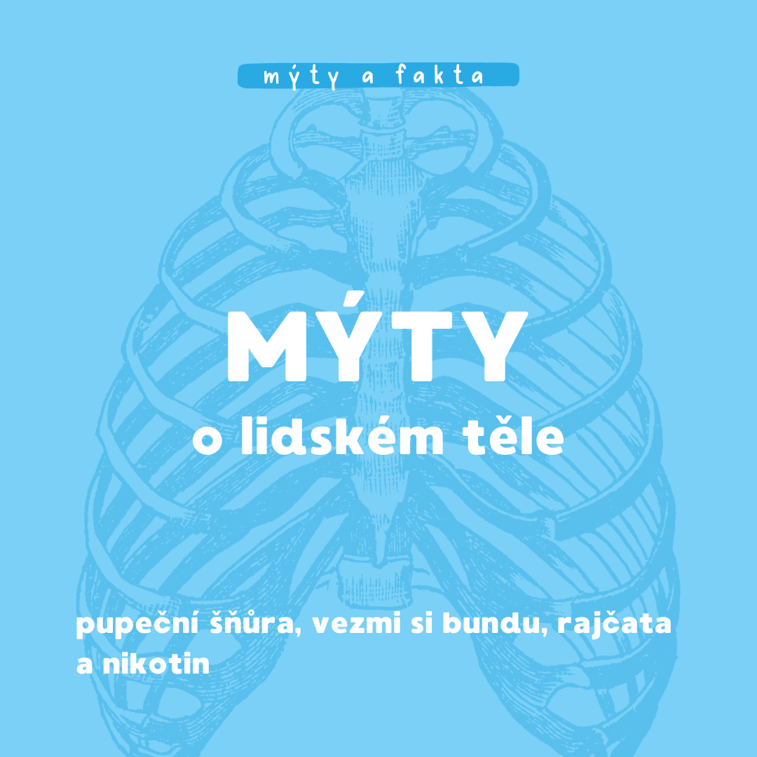 Mýty o lidském těle
