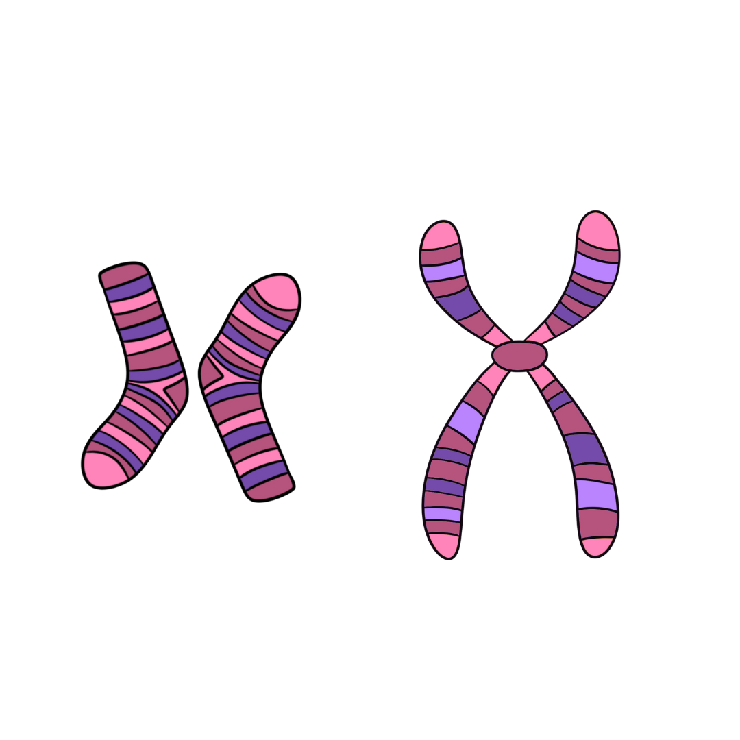 Downův syndrom a missmatched ponožky