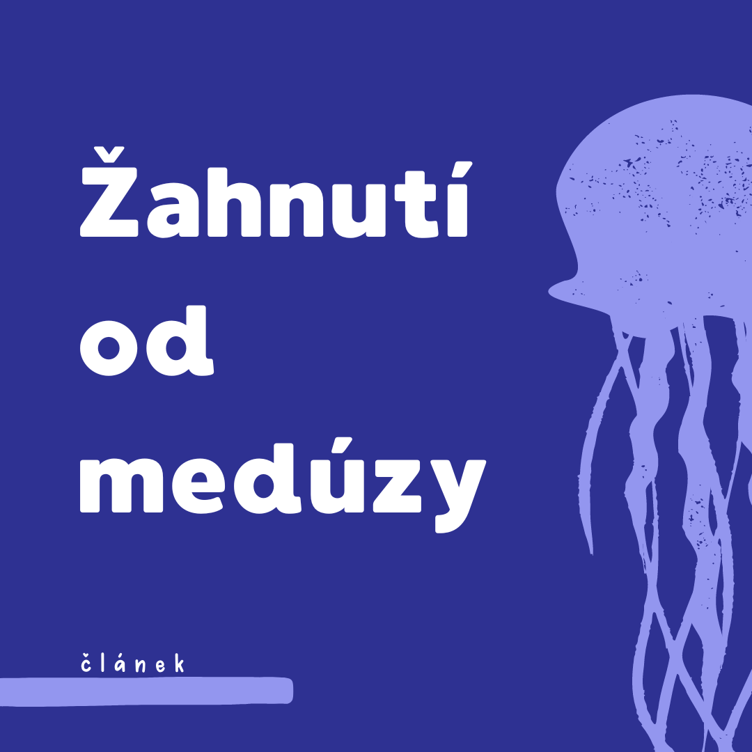 Žahnutí od medúzy