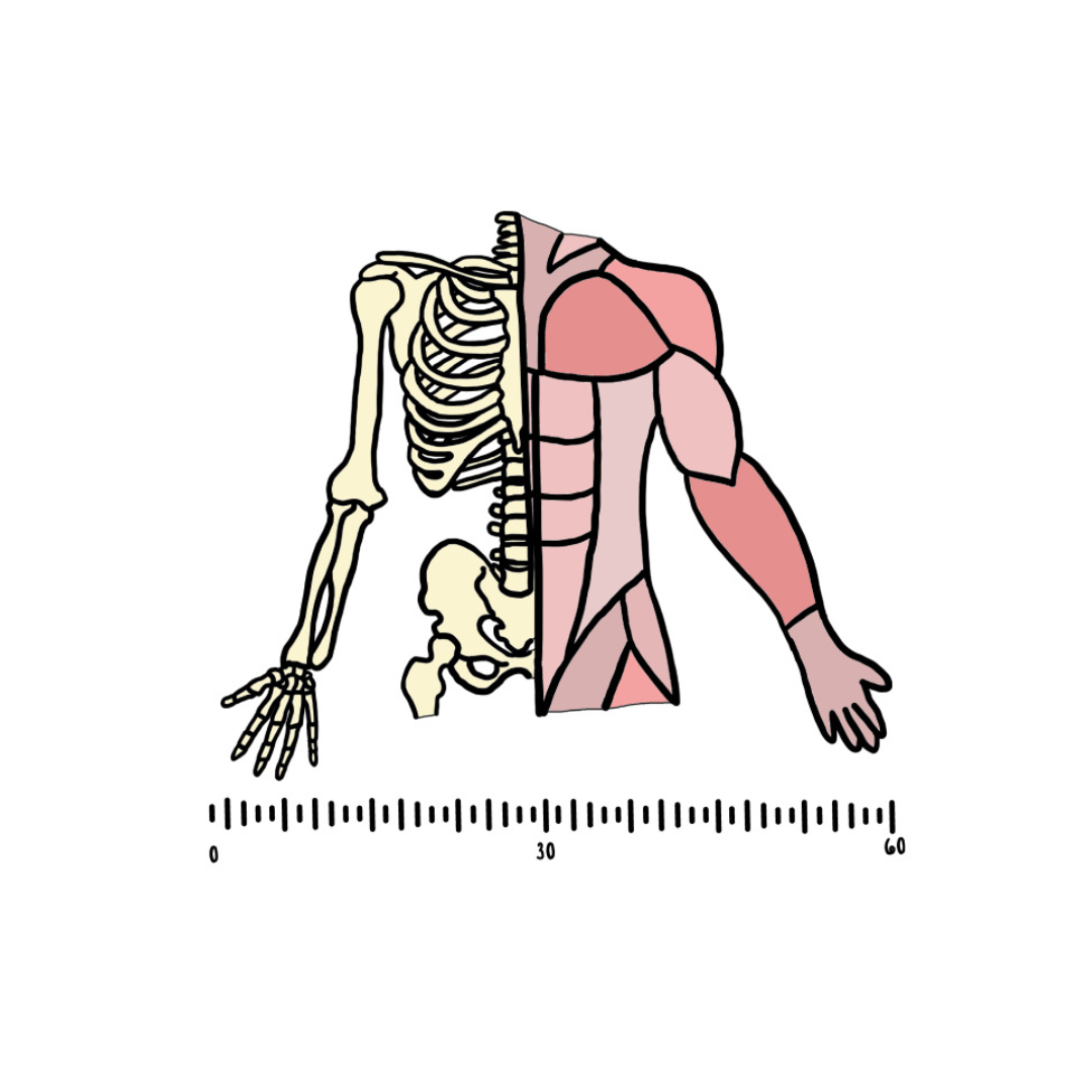 Co dokáže lidské tělo za minutu?