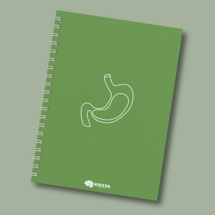 A5 notebook blank Gaster