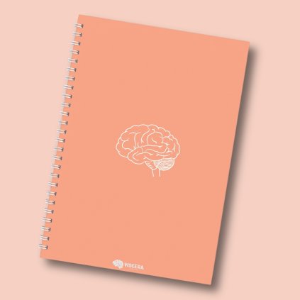 A4 blok w linie Cerebrum