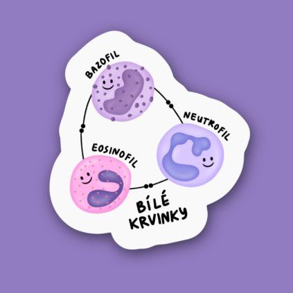 Sticker White blood cells