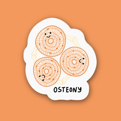 Naklejka Osteony